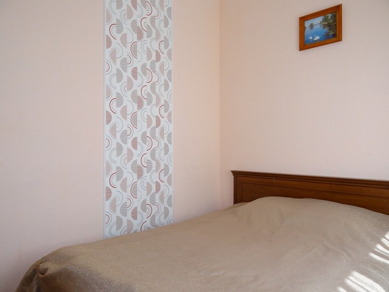 Фото Дельфин