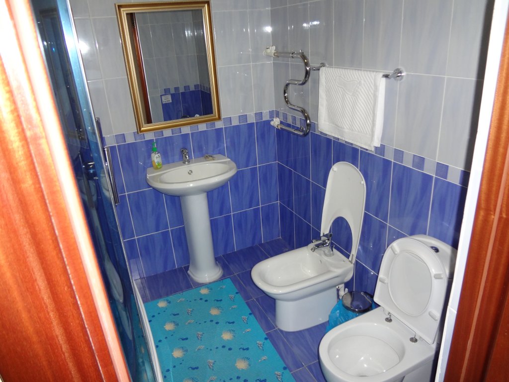 Фото Сорока