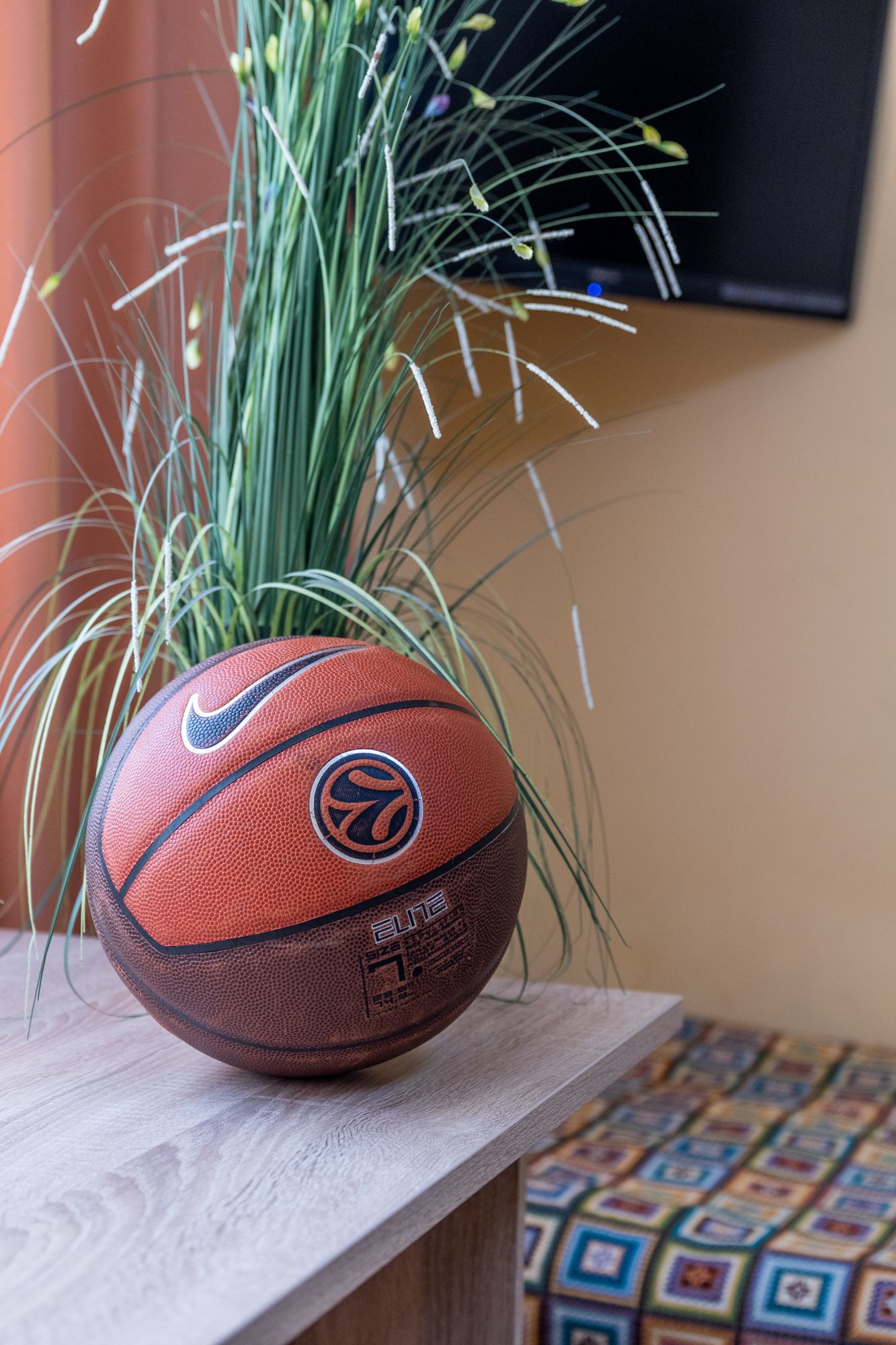 Фото Согдиана