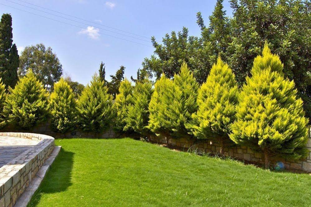 Фото Pilot's Villas Luxury Suites