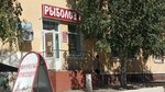 Рыболов (ulitsa Ordzhonikidze, 132), artículos para pescar