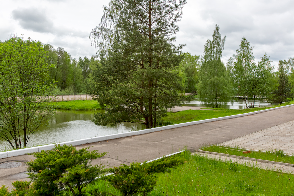 Фото Лесные пруды