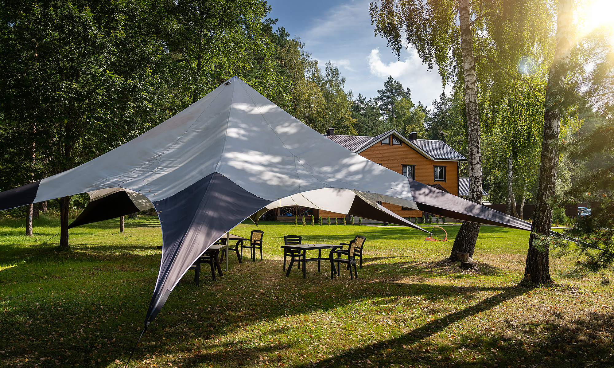 Фото Лесные поляны