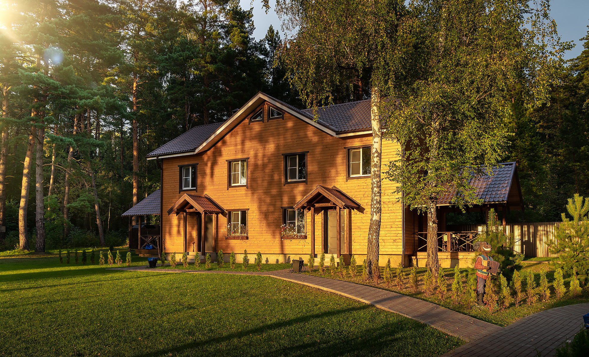 Фото Лесные поляны