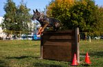 Kaskad (Каскадная улица, 21Д, стр. 1), dog park