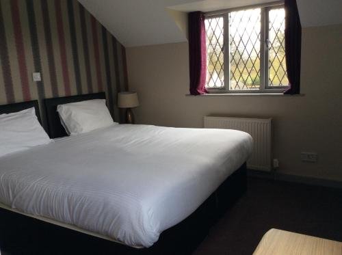 Фото The Throckmorton