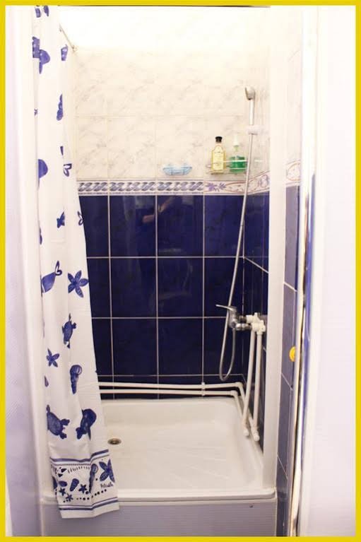 Фото Подсолнух