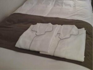 Гостиница Hotel Taisei