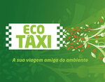 Eco. Taxi (Dispetcherskiy Lane, 47), taxi