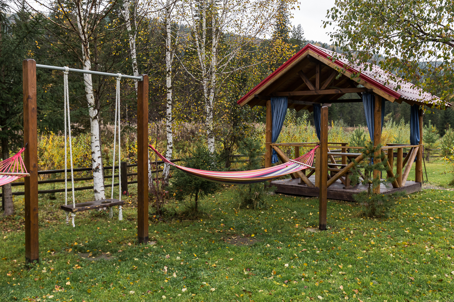 Фото Нарва Club