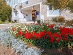Шилкинская центральная районная больница (Shilka, ulitsa Tolstogo, 100), hospital para adultos