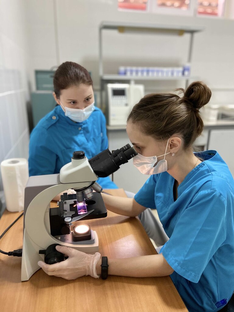 عيادة بيطرية University Veterinary Clinic ، أوفا، صورة
