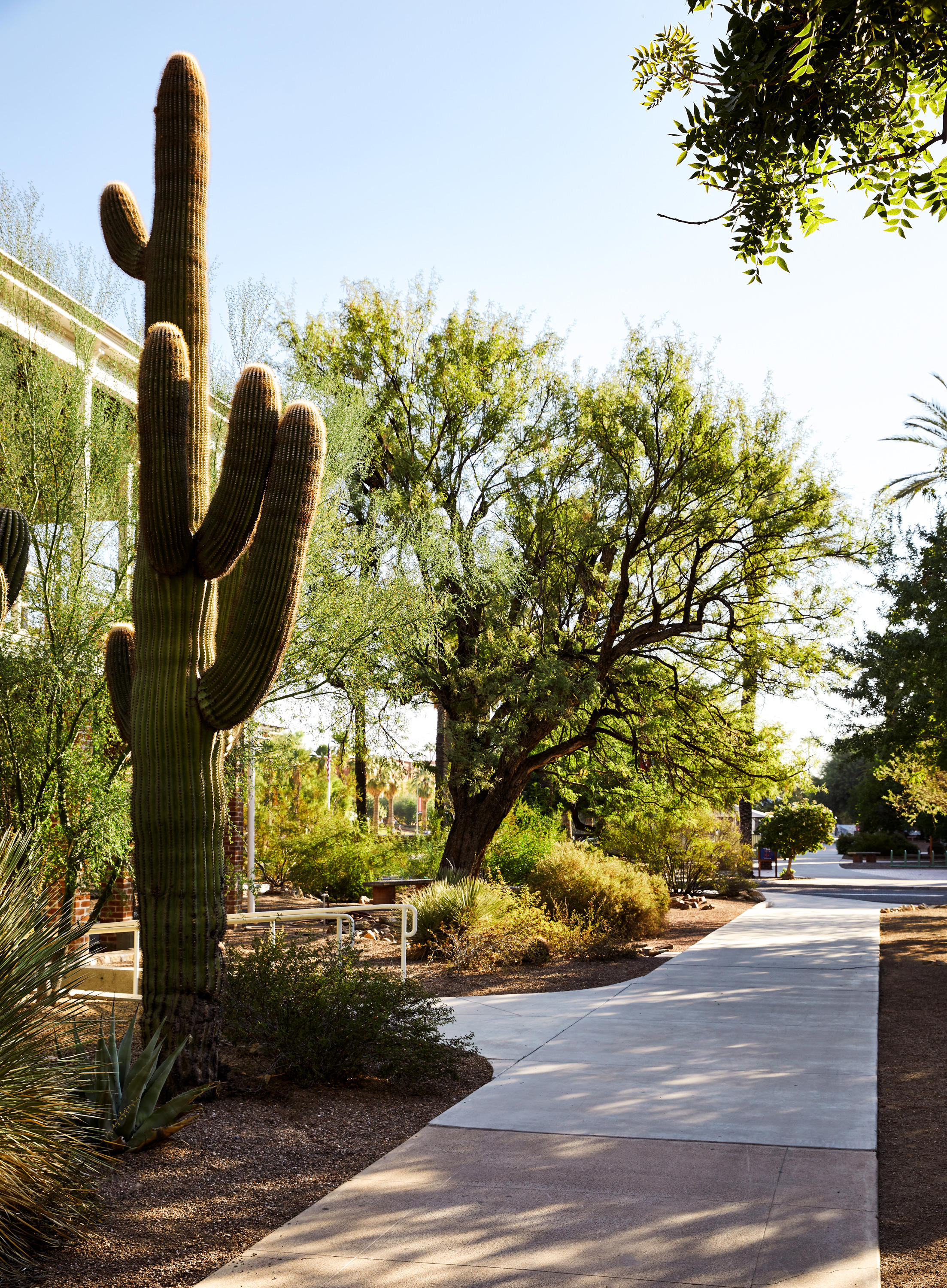 Фото Graduate Tucson