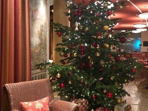 Внешний вид отеля Отель Elbflorenz Дрездена в Дрездене, фото 5