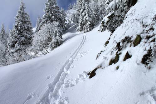 Фото Hotel Horizont