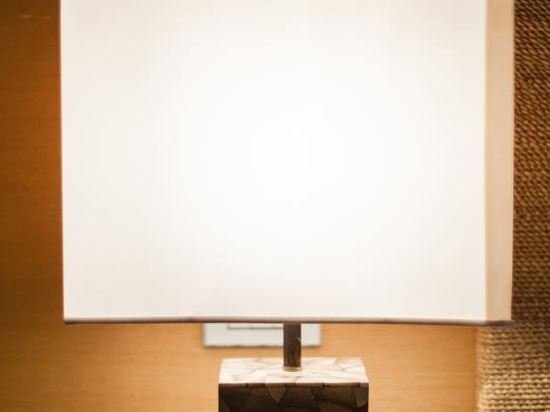 Фото Hotel Flaminia