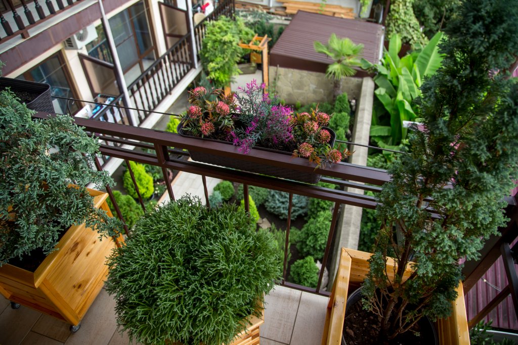 Фото Регалия