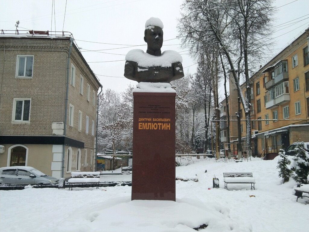 Monument, memorial Бюст Д.В. Емлютина, Bryansk, photo
