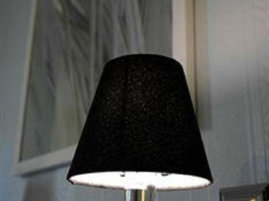 Фото 50389335155