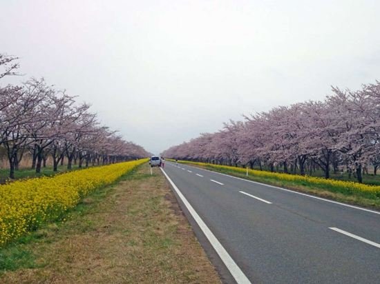 Фото Oga Seiko Grand Hotel