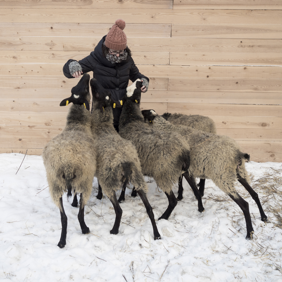 Фото Арт-Усадьба Веретьево
