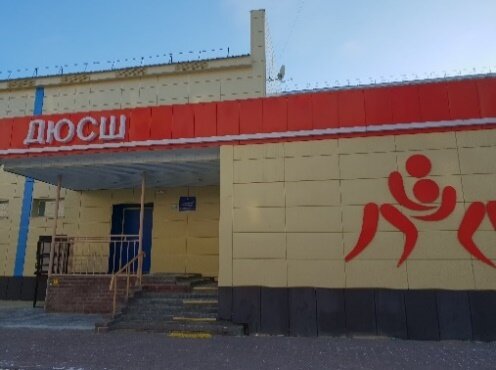 التعليم الإضافي Mbou Dod Detsko-yunosheskaya sportivnaya shkola ، ، صورة