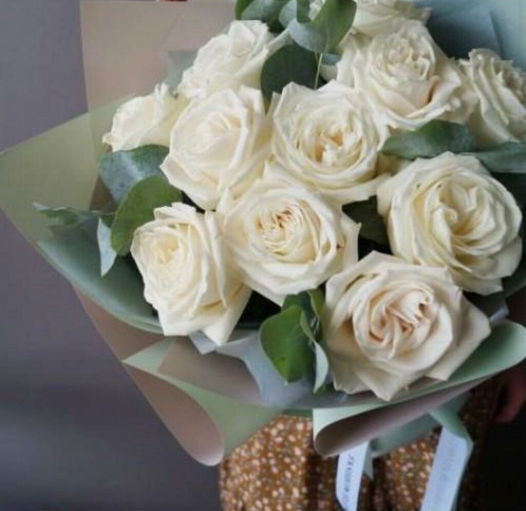 Playa blanca роза эквадор