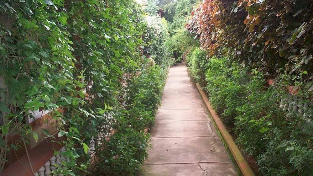 Фото Radiant Resort