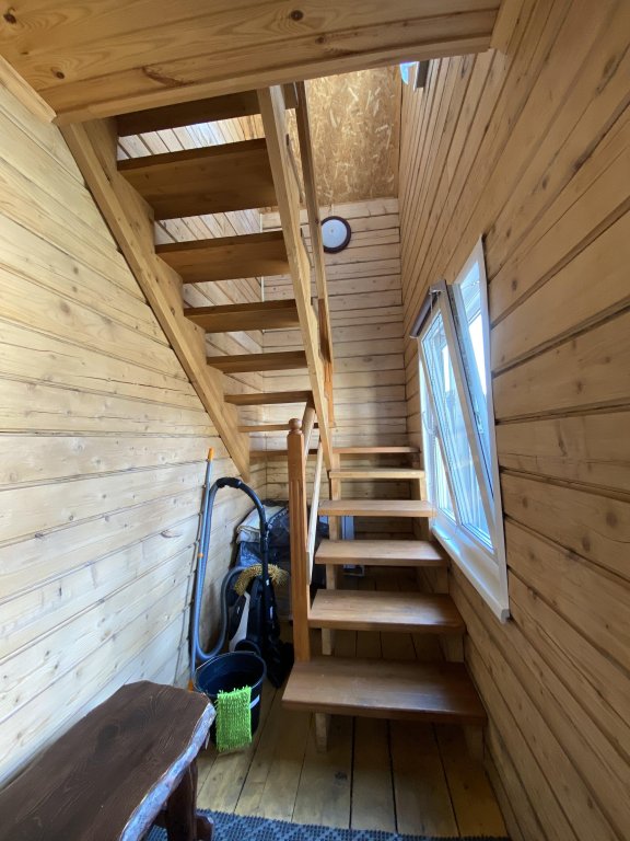 Фото Снежок