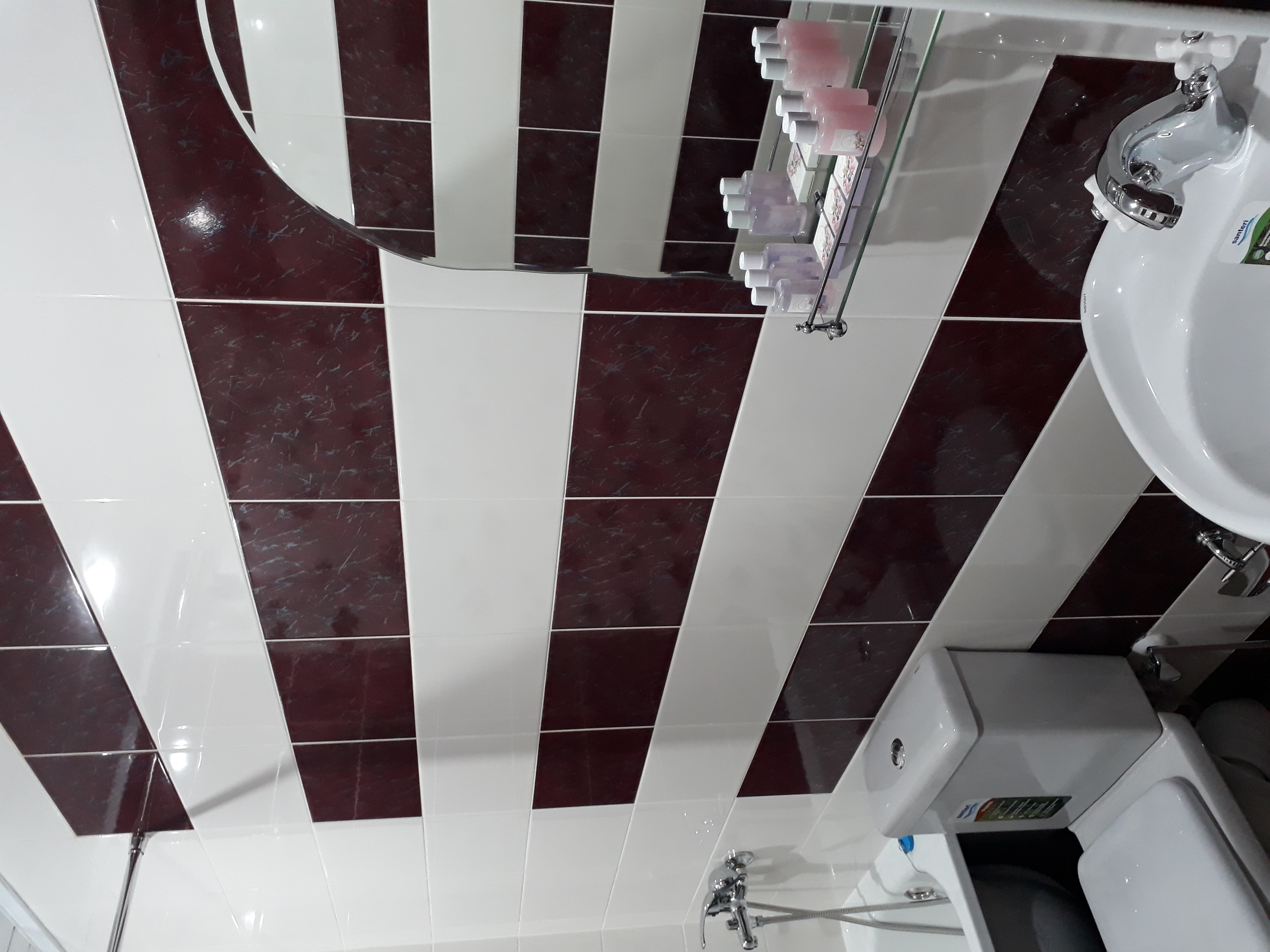 Фото Фараон