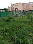 Детский сад № 436 (ул. Петухова, 116А, Новосибирск), детский сад, ясли в Новосибирске
