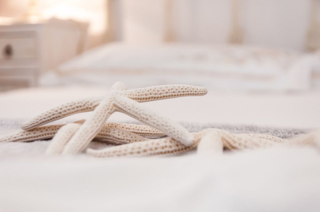 Фото Terracielo Guest House