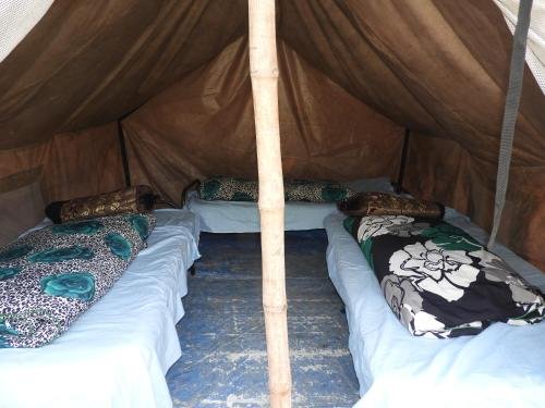 Фото WildHawk Adventures