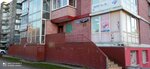 Alcoholics Anonymous (Moskovskiy Avenue, 14Б) ، منظمات المجتمع