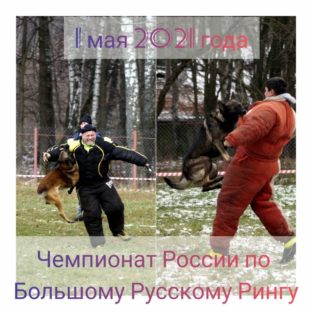 Dog park Dog's sports and training center Chertanovo, Moscow, photo
