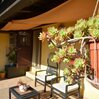 Homestay - Homestay - Cozy B & B with large terrace