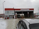 Сельта (Republic of Tatarstan, Zelenodolsk), transport company, car depot