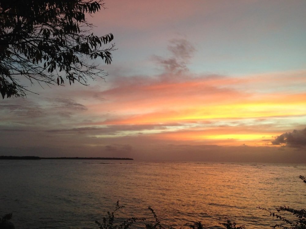 Фото Angel Fish Cove