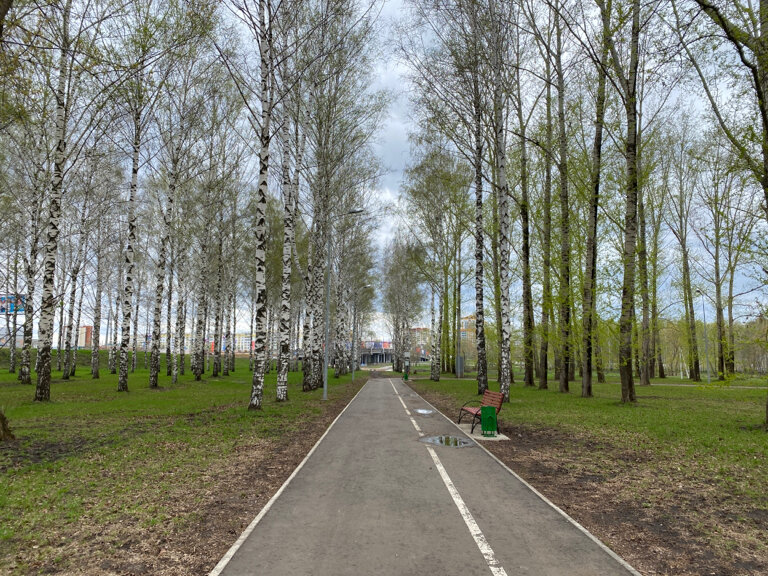 парк культуры и отдыха — Экопарк на Моховой — Саранск, фото №1