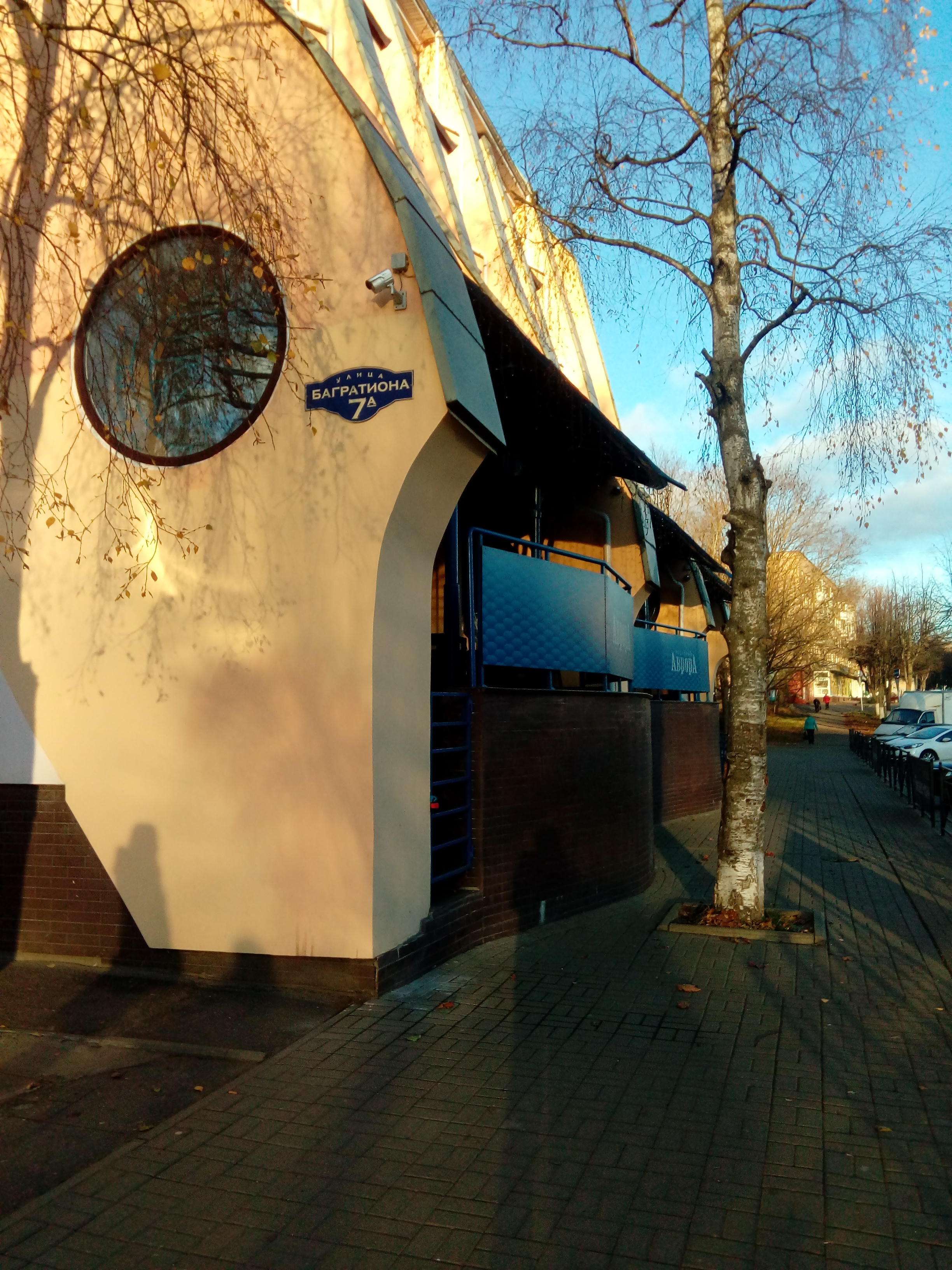 Фото Аврора