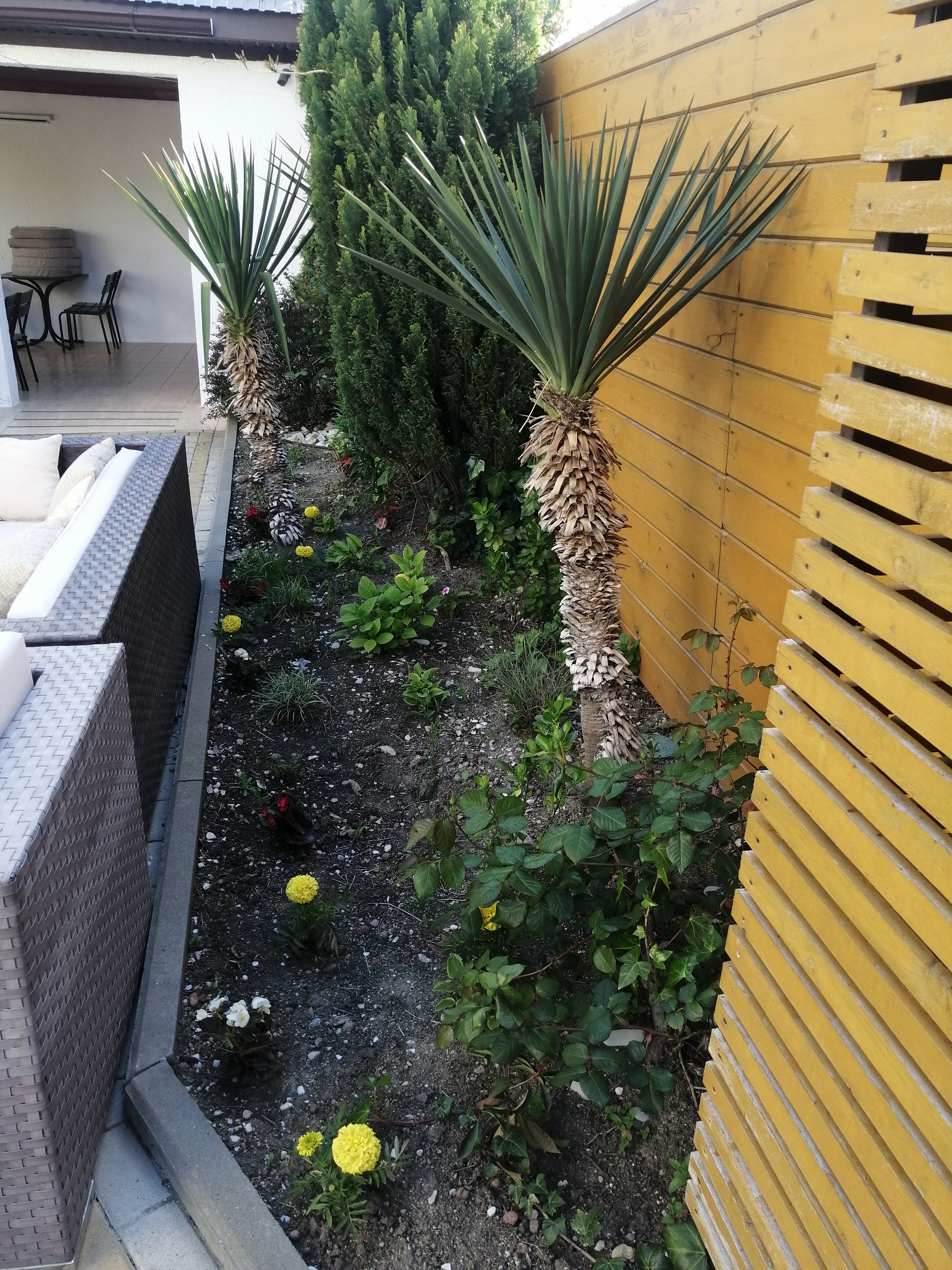 Фото Дольче Вита