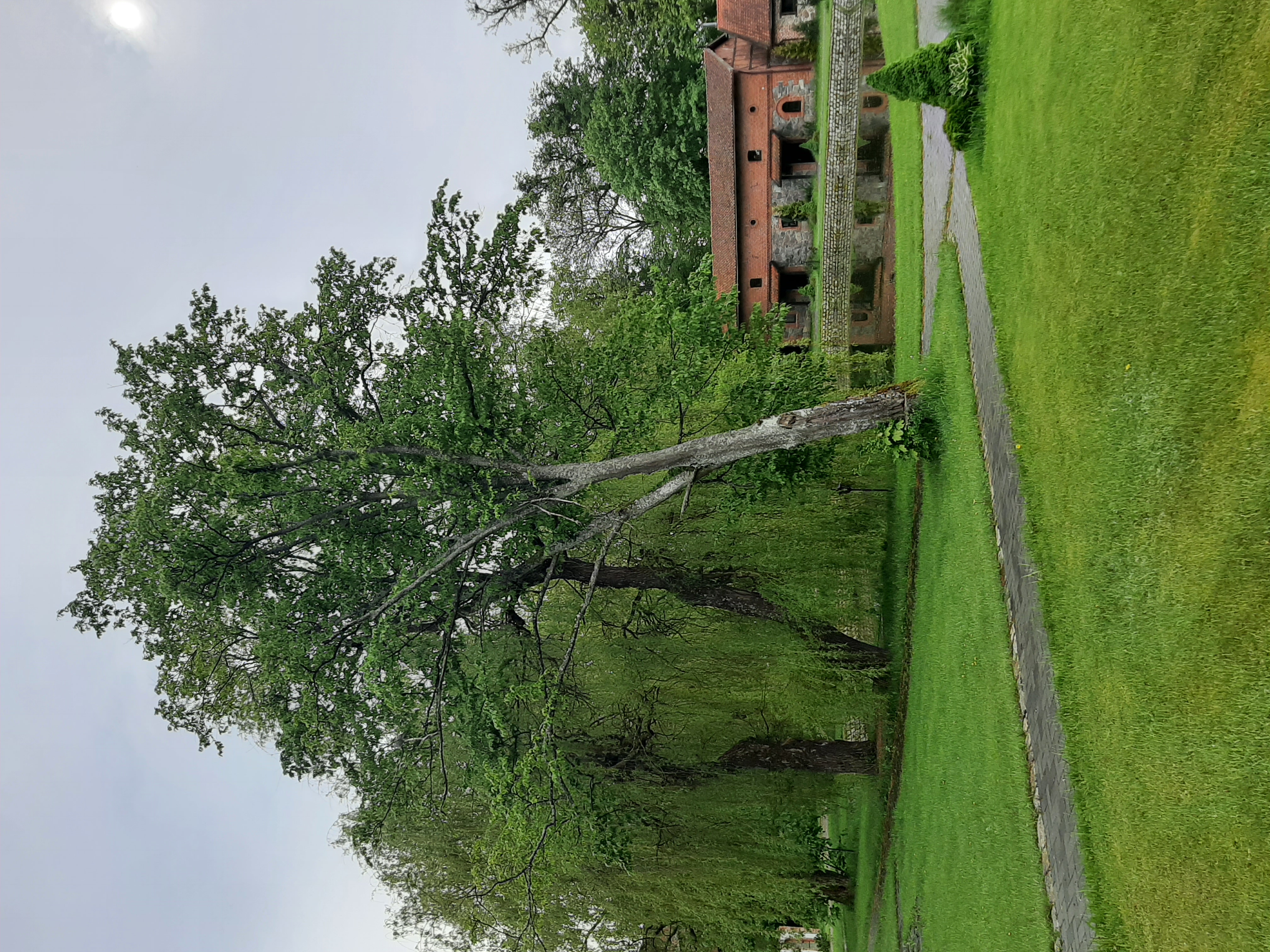 Фото Замок Романовски