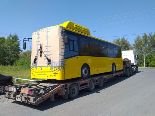 Қынаптағы шампанның фотосы