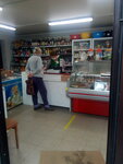 Convenience store (Magiliowski rajon, Daškaŭski sieĺsaviet, ST Khimik-1, Podlesnaya ulitsa), grocery