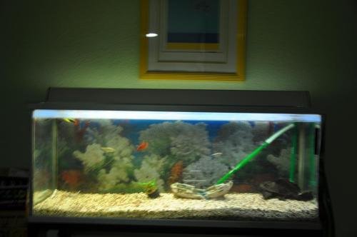 Фото Hostal Ramón y Cajal