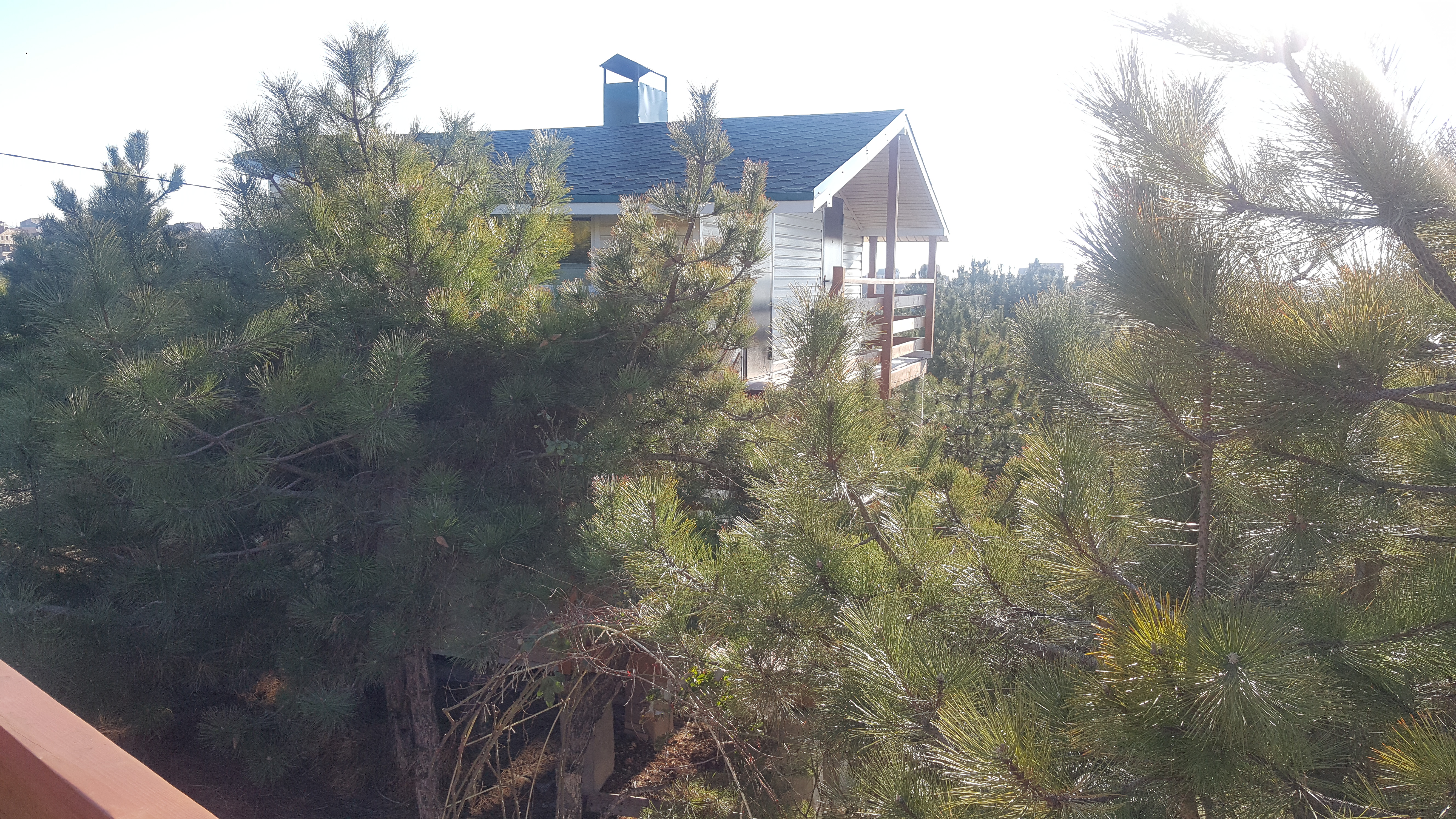 Фото Капля янтаря