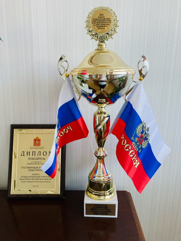 Фото Подсолнухи