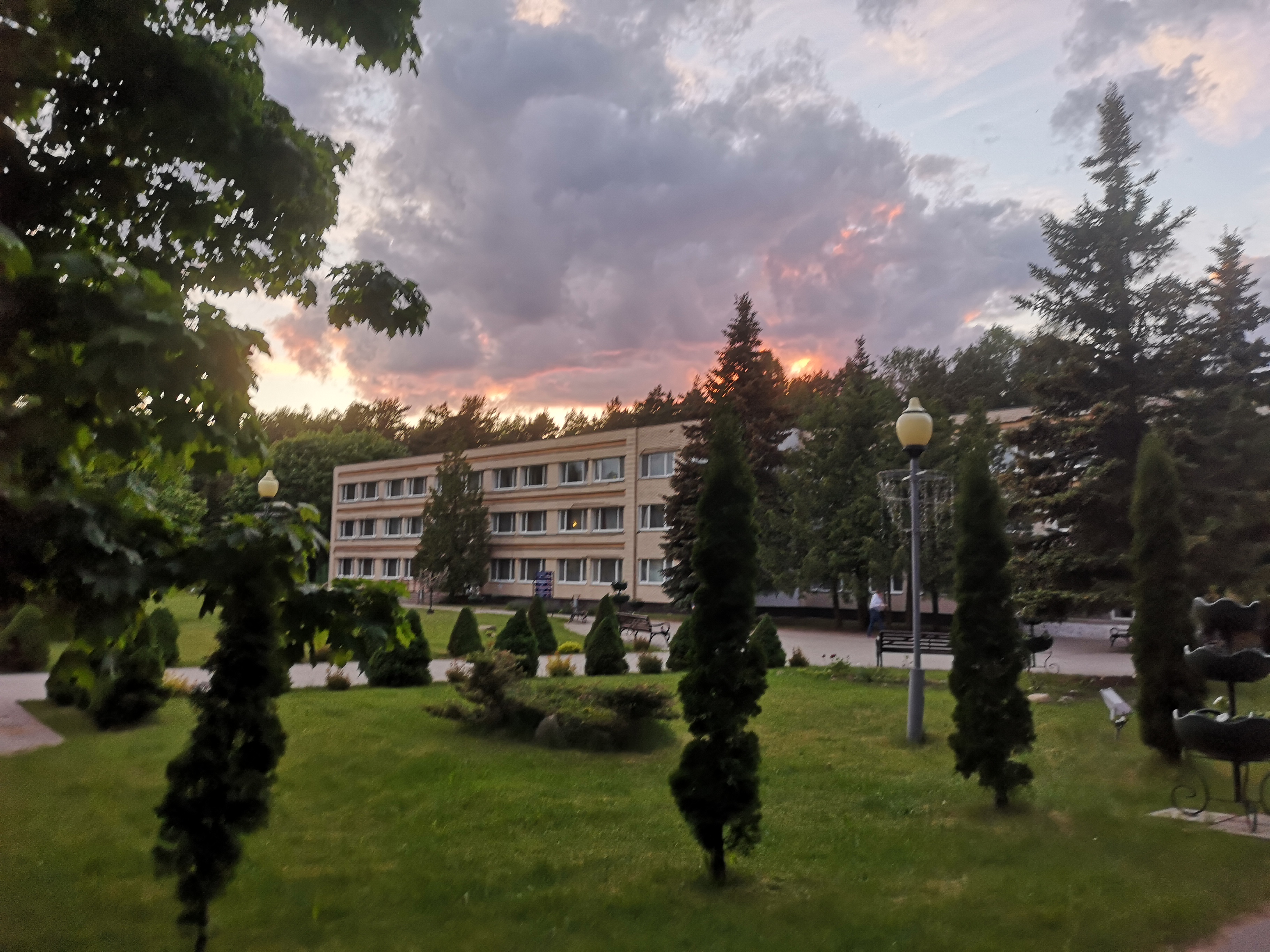 Фото Журавушка