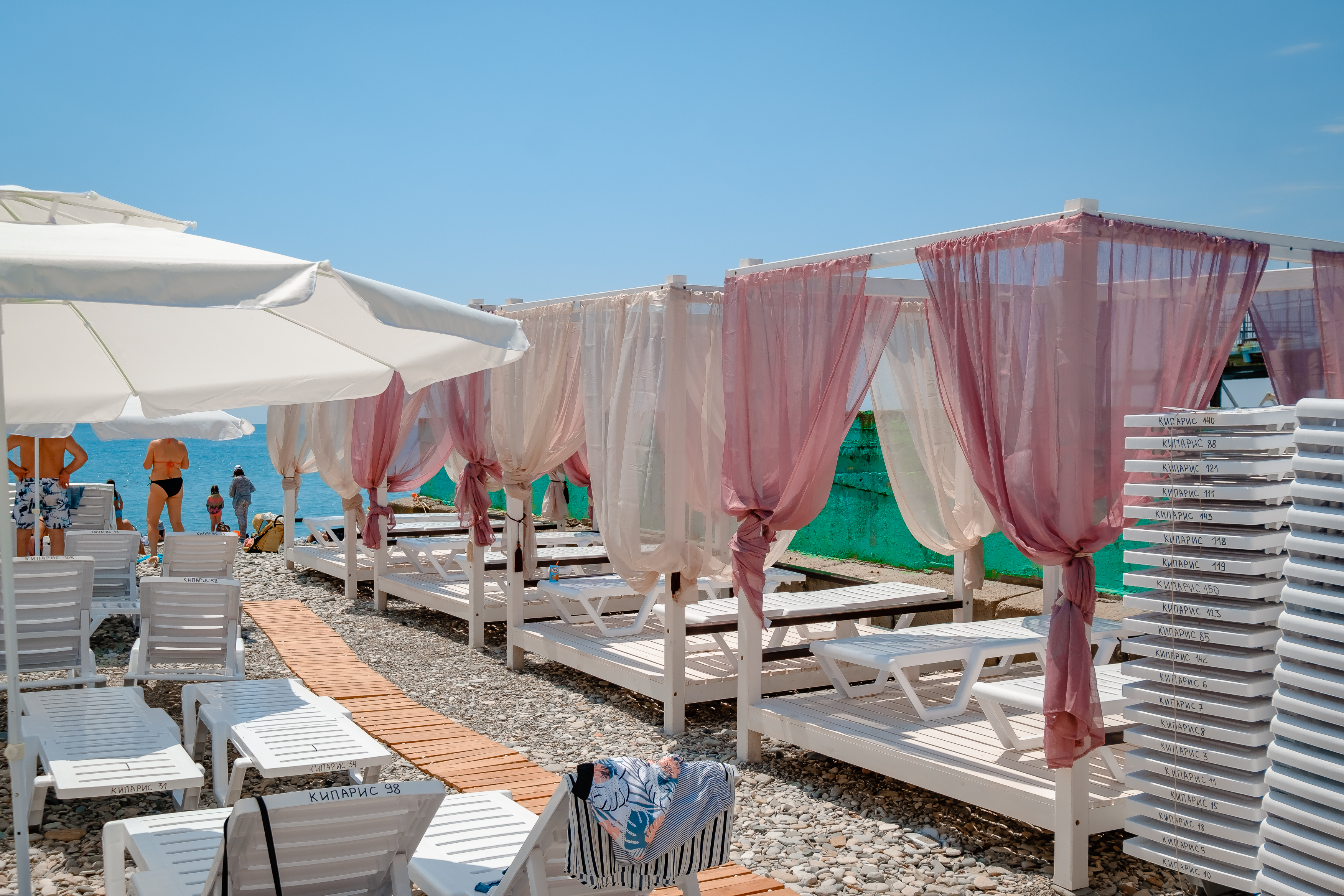 Фото Кипарис