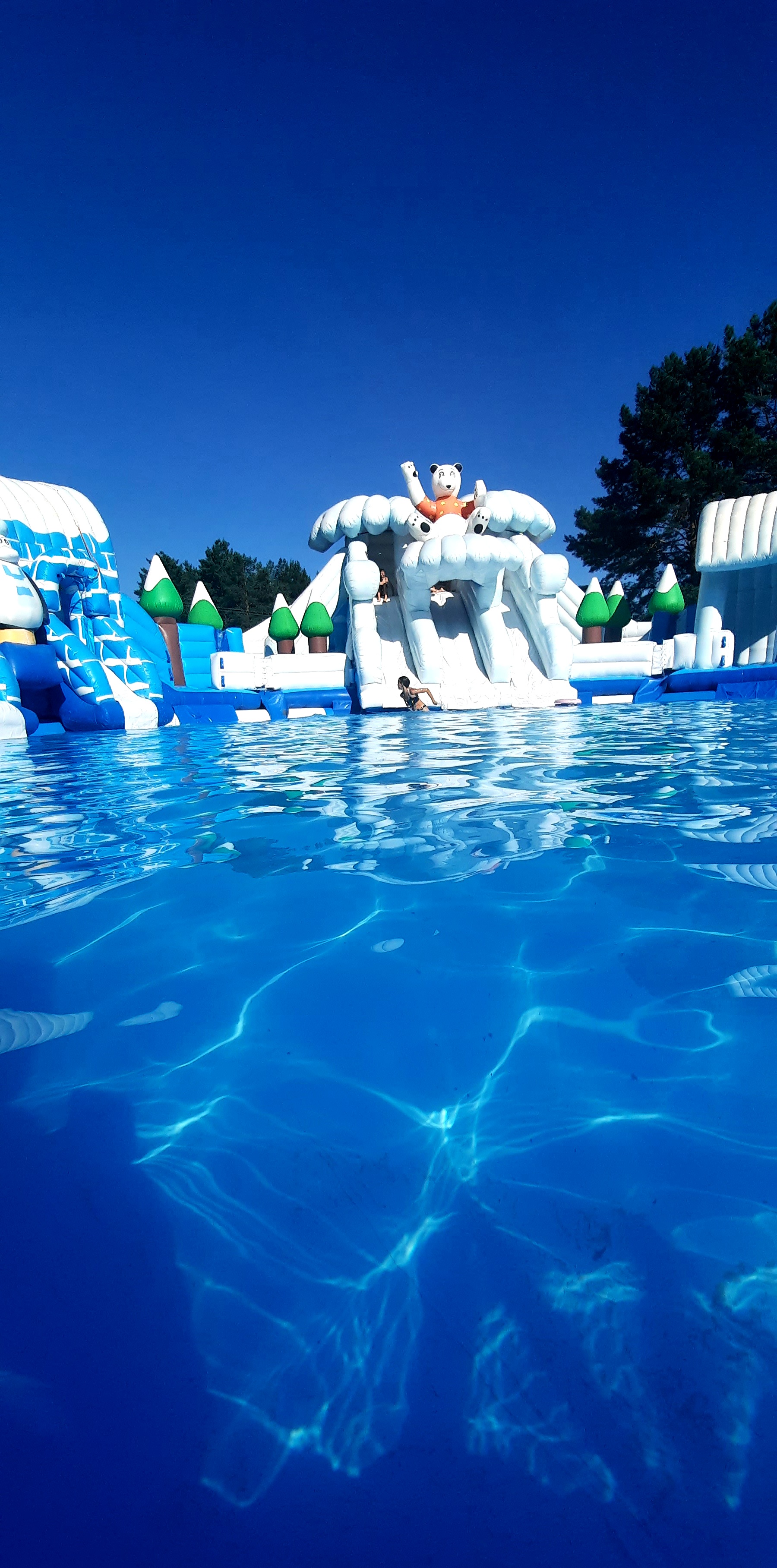 Фото Маламут Ленд